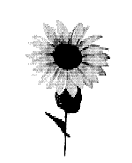 ascii flower daisy