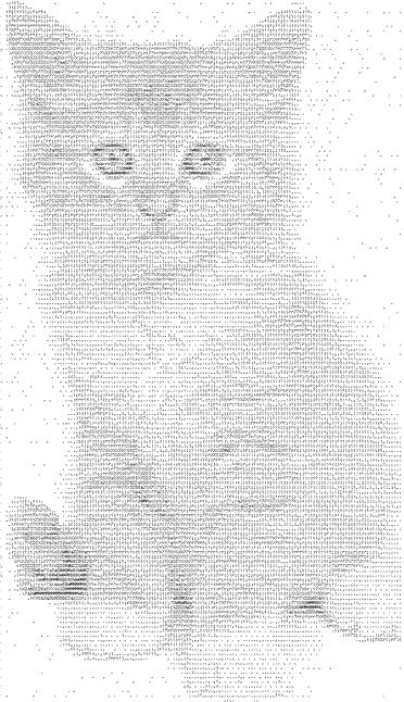 cat ASCII art cat